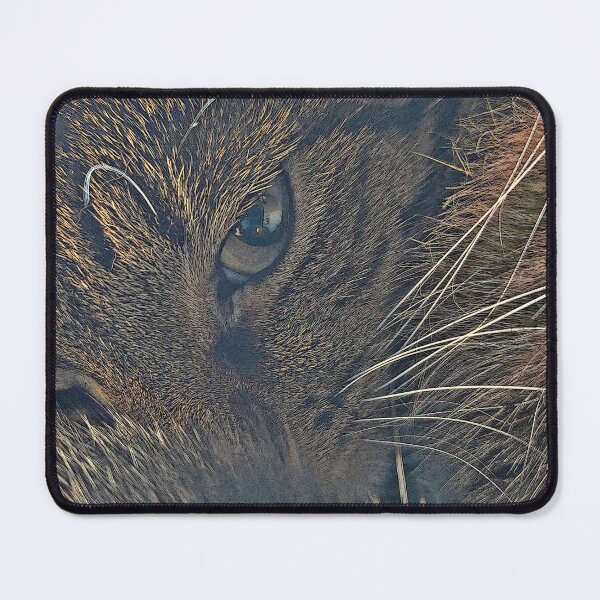 Item preview, Enough with the pictures! Cat Closeup designed and sold by MGSpear.