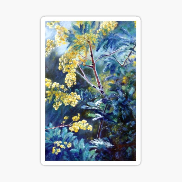 Cootamundra Wattle Sticker