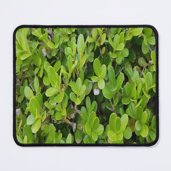 Item preview, Hedge Top designed and sold by MottoDigging.