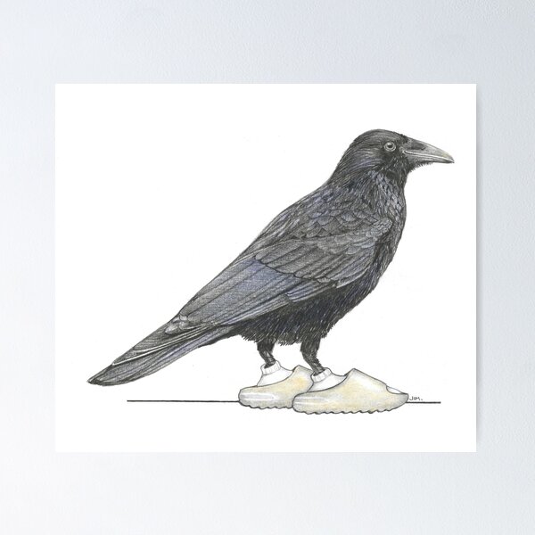 Item preview, Crow in Slides designed and sold by JimsBirds.