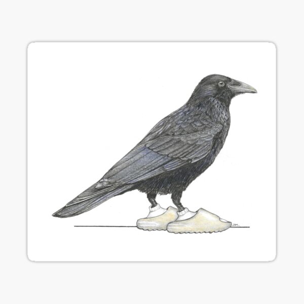 Item preview, Crow in Slides designed and sold by JimsBirds.