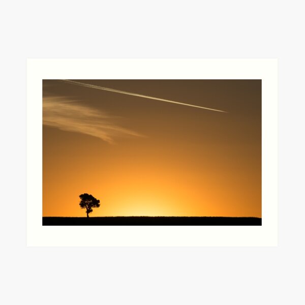 Tree Art Print