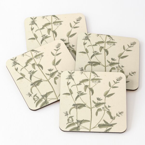 Item preview, PRETTY VINTAGE Nettle Botanical Poster designed and sold by PositiveE.