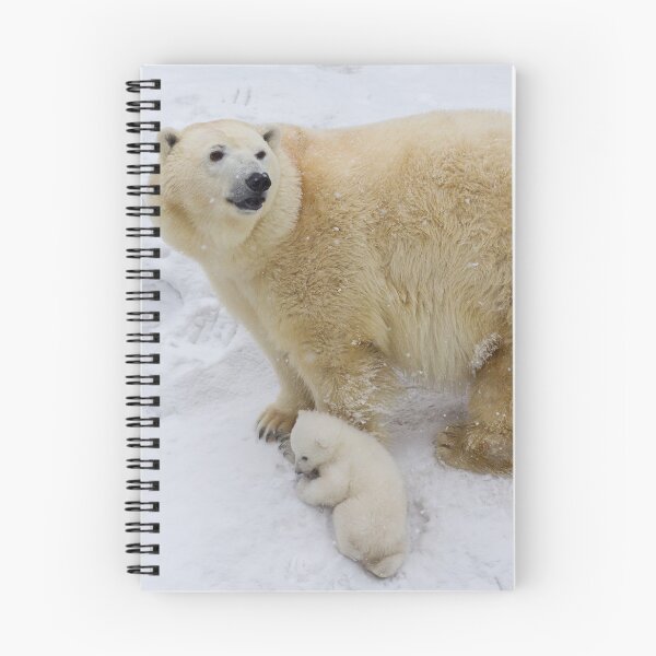 Item preview, Polar bear cub with mom	 designed and sold by Anton Belovodchenko.