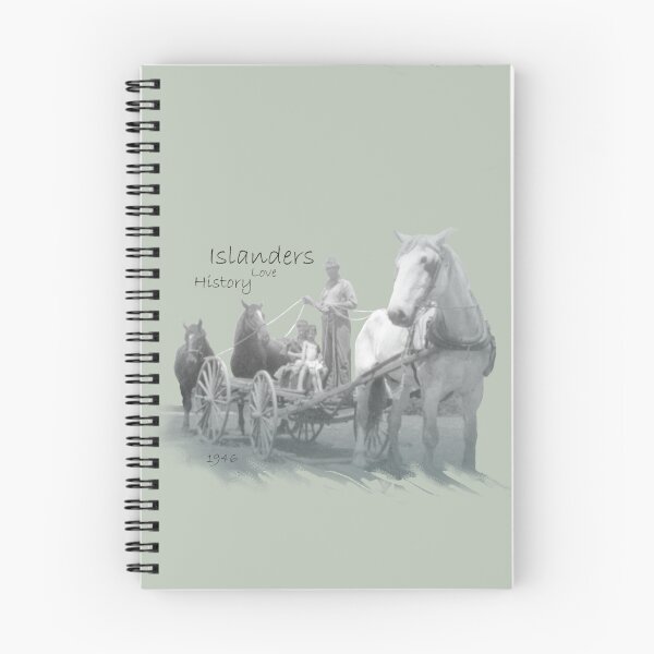 Item preview, Islanders 1946 grey designed and sold by qlajt.