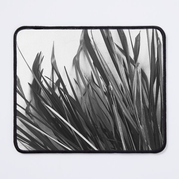 Item preview, Long Lyrical Leaves Against Wall Black-And-White designed and sold by DEC02.
