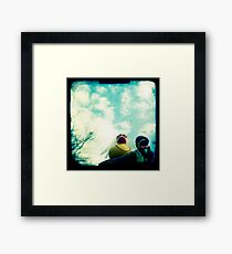Wedding ducks Framed Print