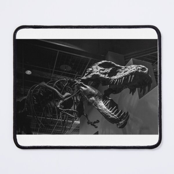 Item preview, T-Rex on Display designed and sold by davidbjones254.