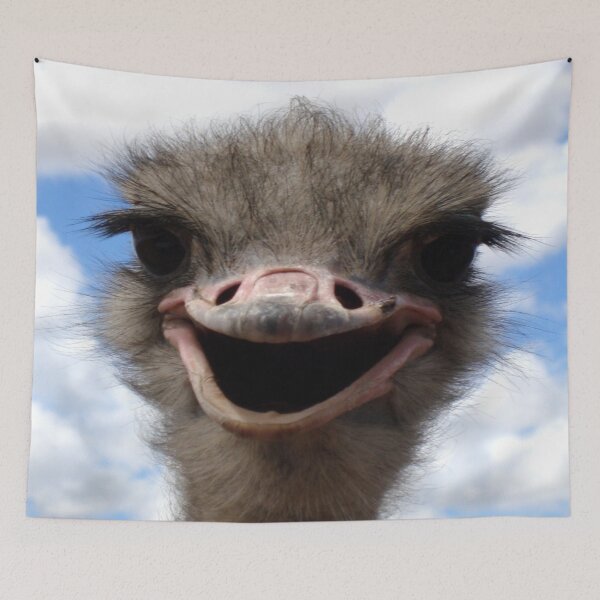 Item preview, Ostrich Smiling WIdely designed and sold by marwan elsaeed.