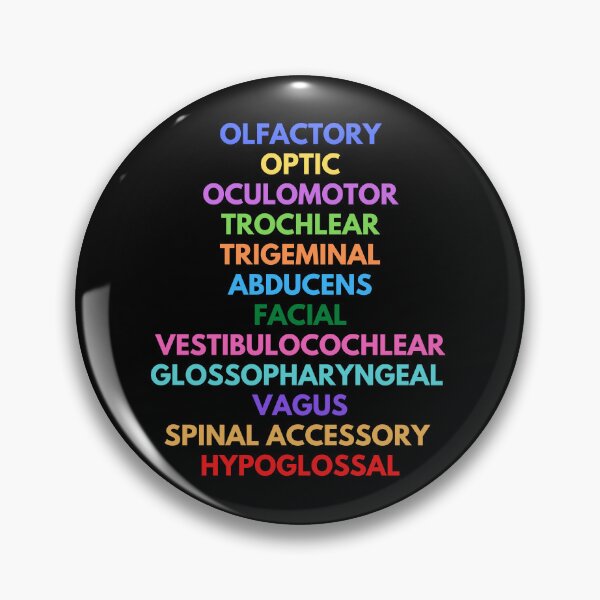 Item preview, Cranial Nerves - Neuroscience, Psychology, Mental Health, Neuroanatomy designed and sold by jadedscientist.