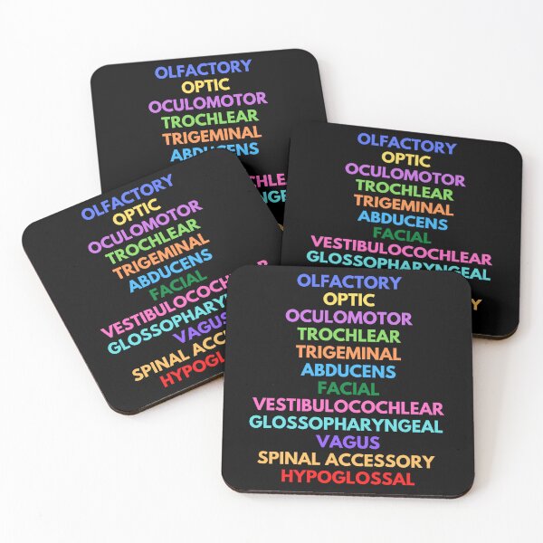 Item preview, Cranial Nerves - Neuroscience, Psychology, Mental Health, Neuroanatomy designed and sold by jadedscientist.