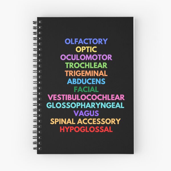 Item preview, Cranial Nerves - Neuroscience, Psychology, Mental Health, Neuroanatomy designed and sold by jadedscientist.