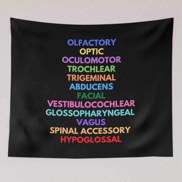 Item preview, Cranial Nerves - Neuroscience, Psychology, Mental Health, Neuroanatomy designed and sold by jadedscientist.