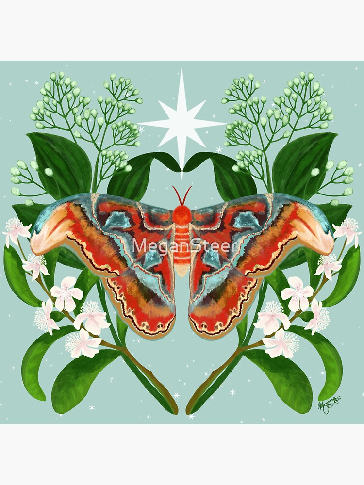 Thumbnail 3 of 3, Sticker, Atlas Moth in the Stars designed and sold by MeganSteer.