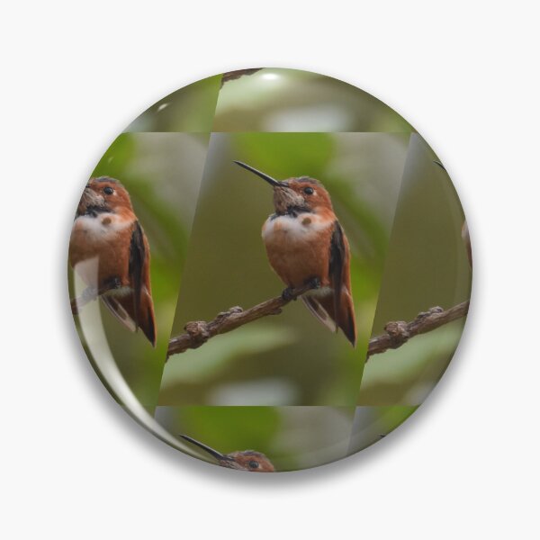 Item preview, Hummingbird And Pink Hibiscus Flower Photo By Concetta Ellis designed and sold by concettaellis.