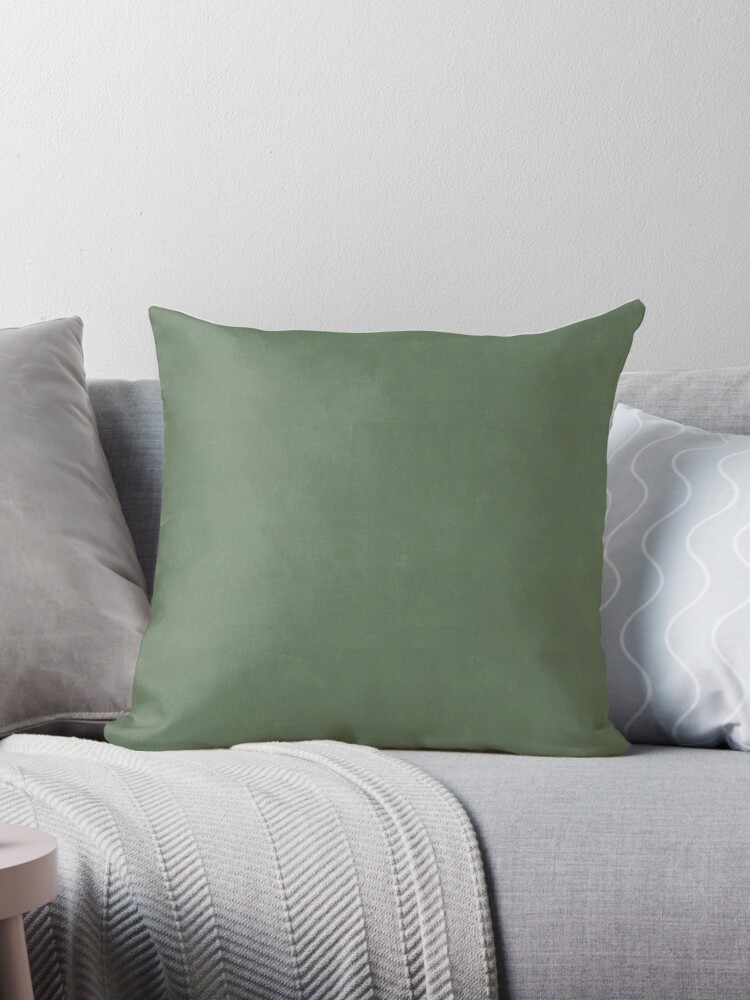 Plain Light Green with Soft Relaxing Texture Throw Pillow by