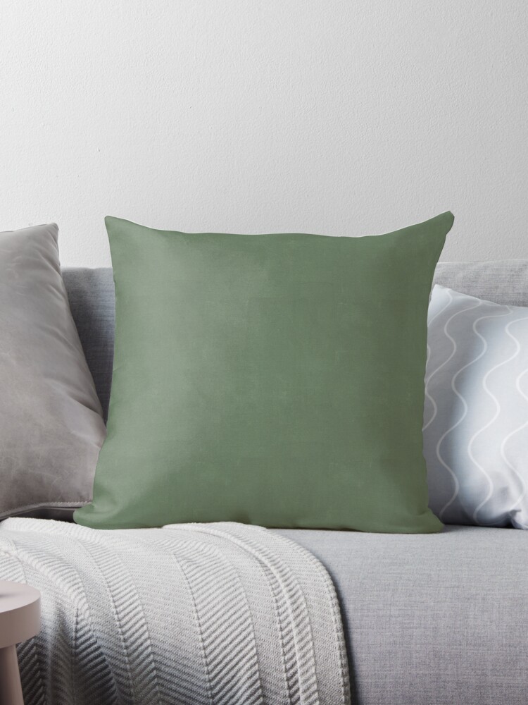 https://ih1.redbubble.net/image.3226454799.5616/throwpillow,medium,750x1000-bg,f8f8f8.jpg