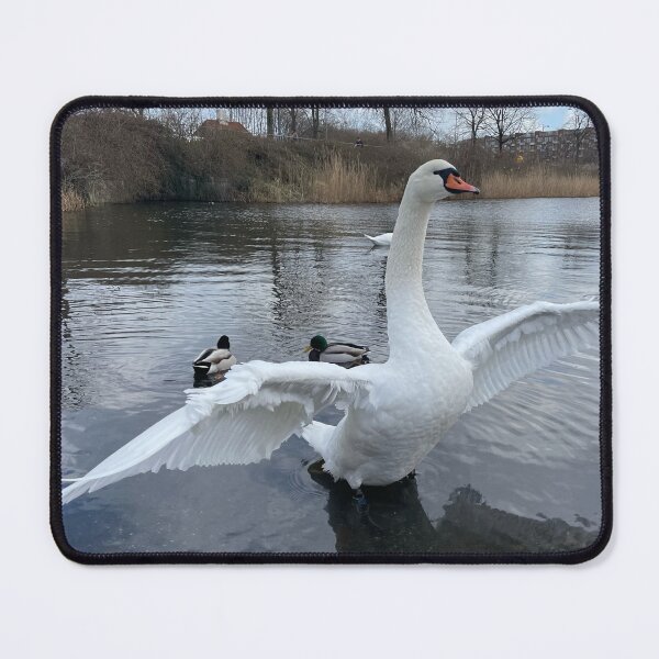 Item preview, Swan Angelic 3 designed and sold by Mortinus.