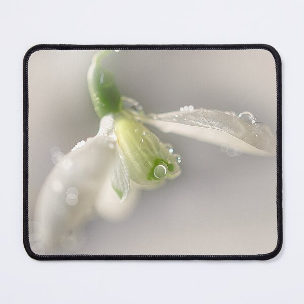 Item preview, Glistening Snowdrop  designed and sold by Alisonchambers2.