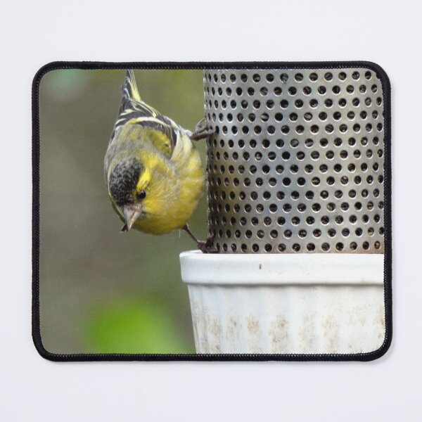 Item preview, lunch time designed and sold by KathleenDawson.