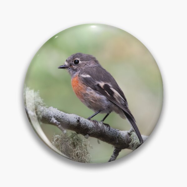Item preview, Scarlet Robin designed and sold by bella photoaus.