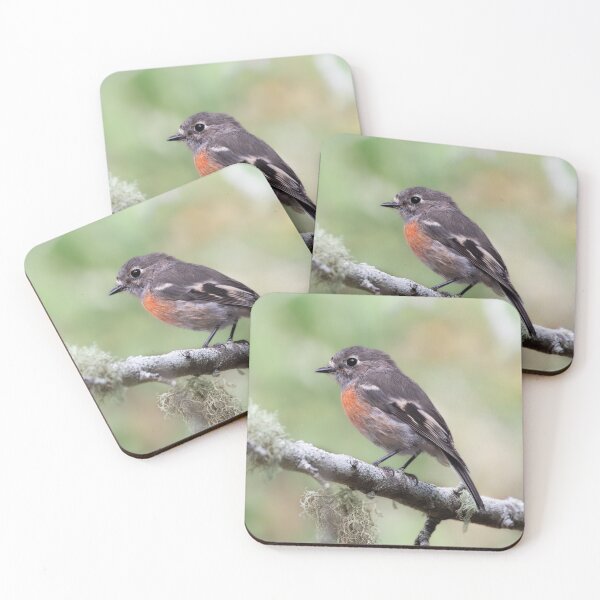 Item preview, Scarlet Robin designed and sold by bella photoaus.