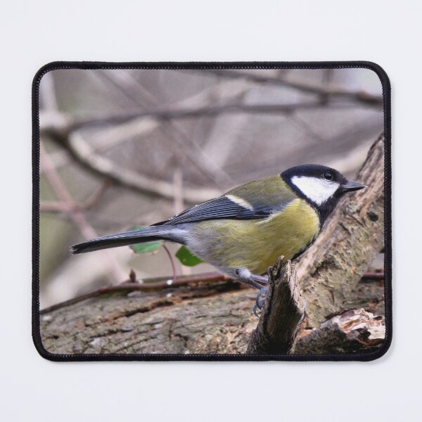Item preview, looking designed and sold by KathleenDawson.