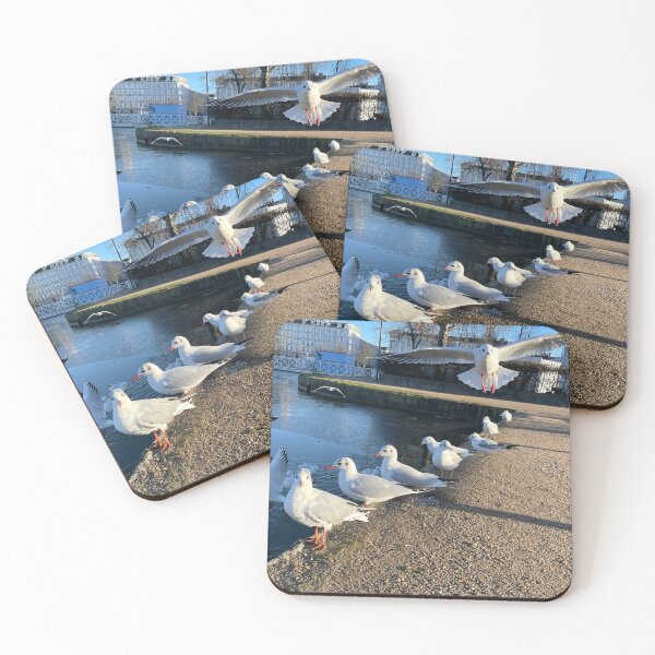 Item preview, Seagulls by The Lakes, Copenhagen. designed and sold by Mortinus.