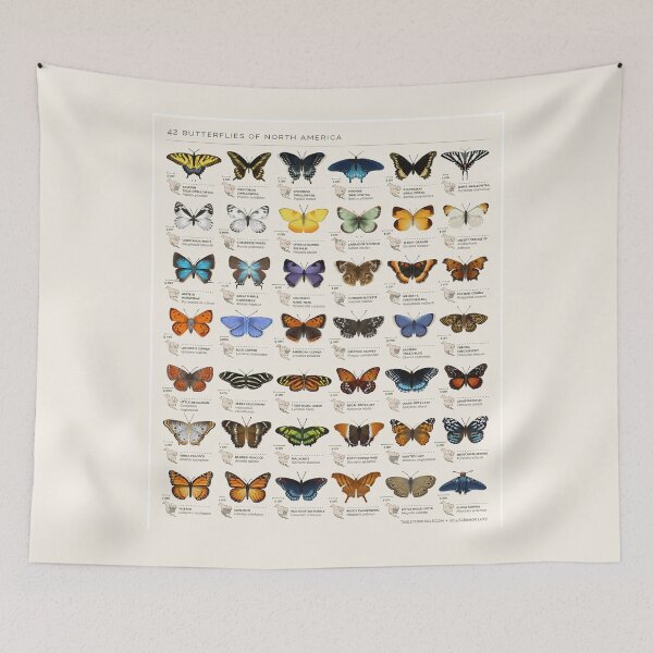 Item preview, Butterfly Types Vintage Color designed and sold by Mnightsa.