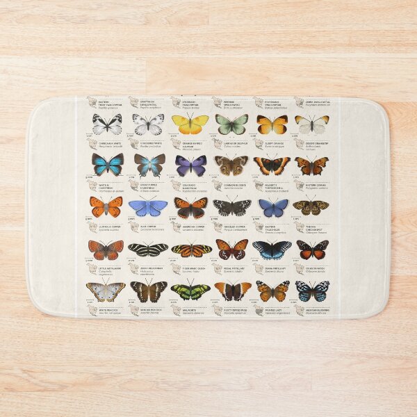 Item preview, Butterfly Types Vintage Color designed and sold by Mnightsa.