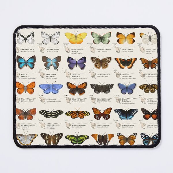 Item preview, Butterfly Types Vintage Color designed and sold by Mnightsa.