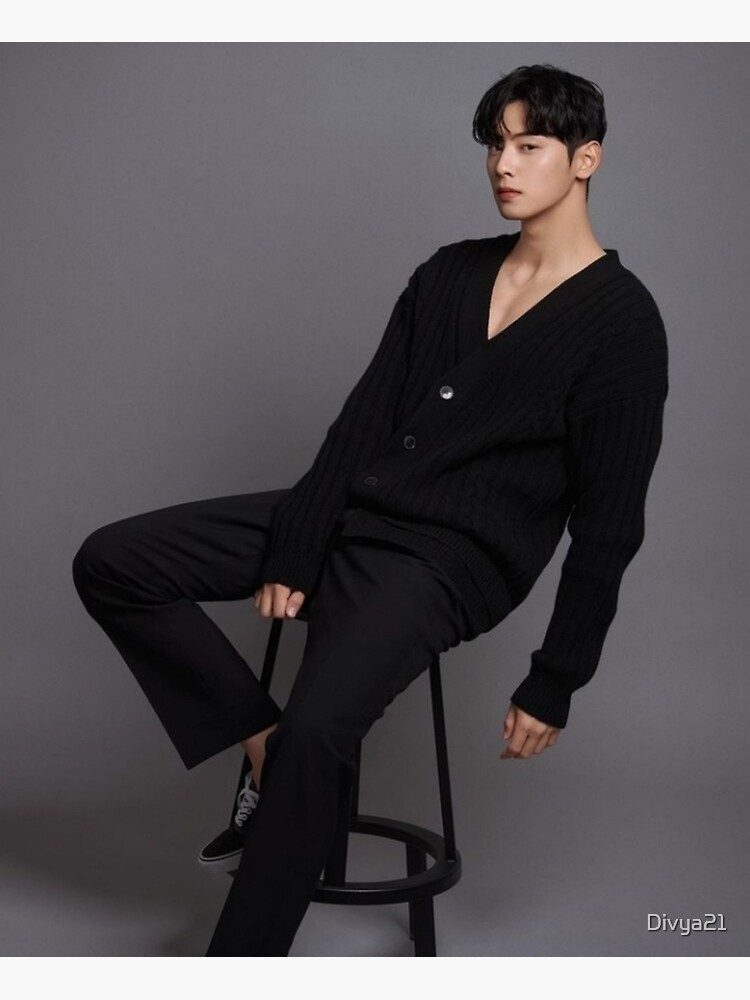 Cha Eun-woo Poster for Sale by TheAsianSide