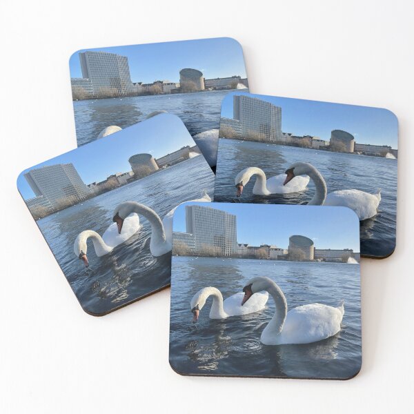 Item preview, Swans • Planetarium  designed and sold by Mortinus.