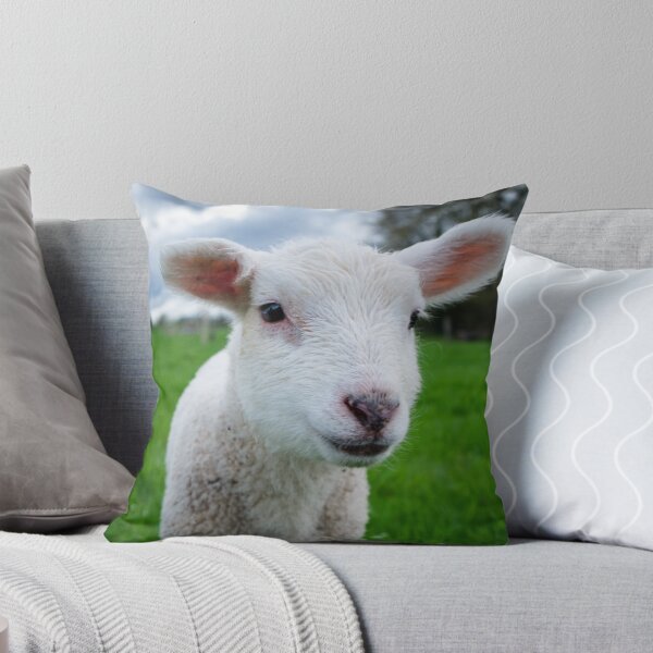 Item preview, Agneau souriant designed and sold by Jonathan B. Roy.