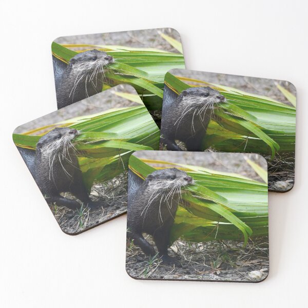 Item preview, Playful Asian Small Clawed Otter designed and sold by richardbryce.