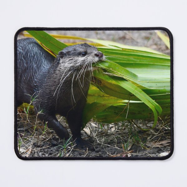 Item preview, Playful Asian Small Clawed Otter designed and sold by richardbryce.