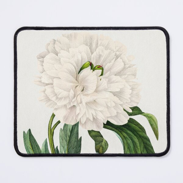 Item preview, Peony from Choix des plus belles fleurs by Pierre-Joseph Redouté designed and sold by InHerits.