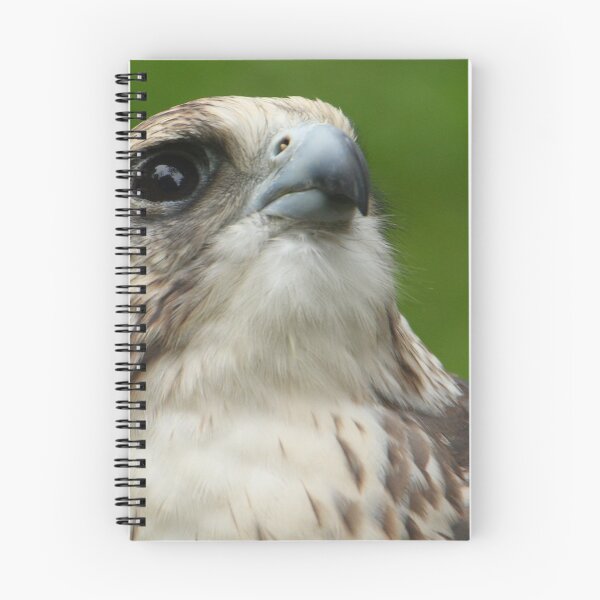Item preview, Saker Falcon designed and sold by JanSmithPics.