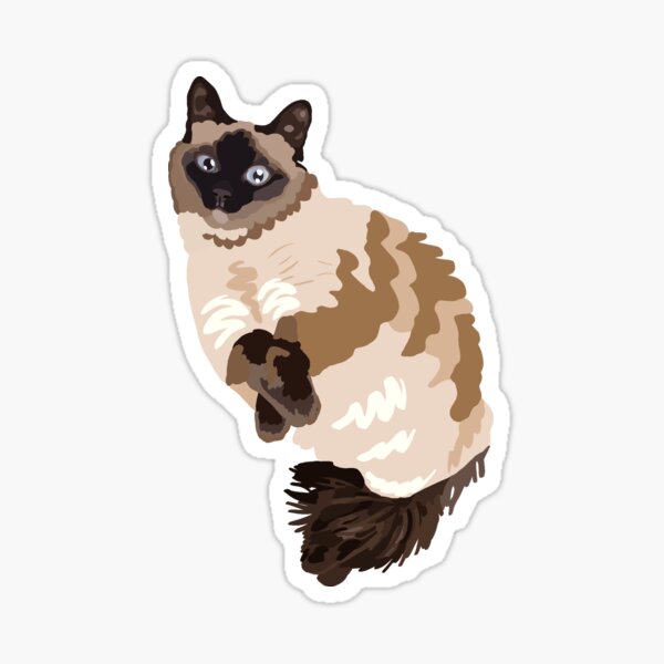Ragdoll Cat Merch & Gifts for Sale
