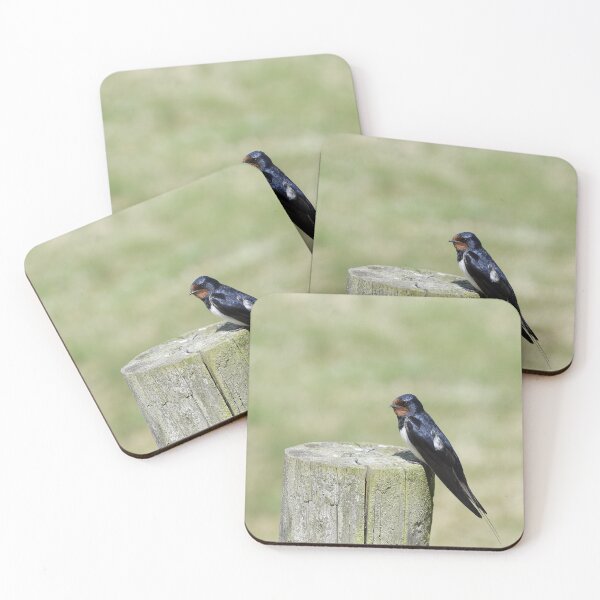 Item preview, Swallow on a Post designed and sold by rwhooster.