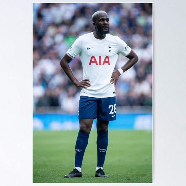 Poster Tottenham Hotspur FC - Players 15/16 | Wall Art, Gifts & Merchandise  