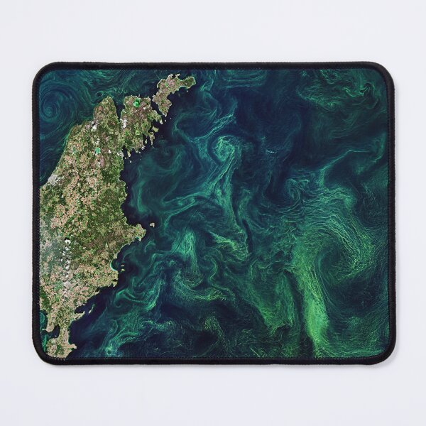Item preview, Baltic blooms captured from space designed and sold by Raureif.