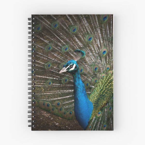 Item preview, Peacock designed and sold by Gary Devlin.
