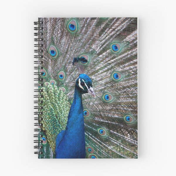Item preview, Peacock designed and sold by Gary Devlin.