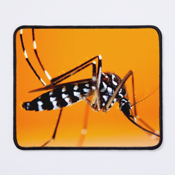 Item preview, Mosquito photo with high resolution quality designed and sold by Allyouneed-2.