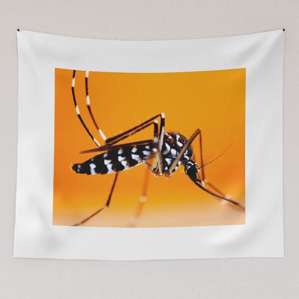Item preview, Mosquito photo with high resolution quality designed and sold by Allyouneed-2.