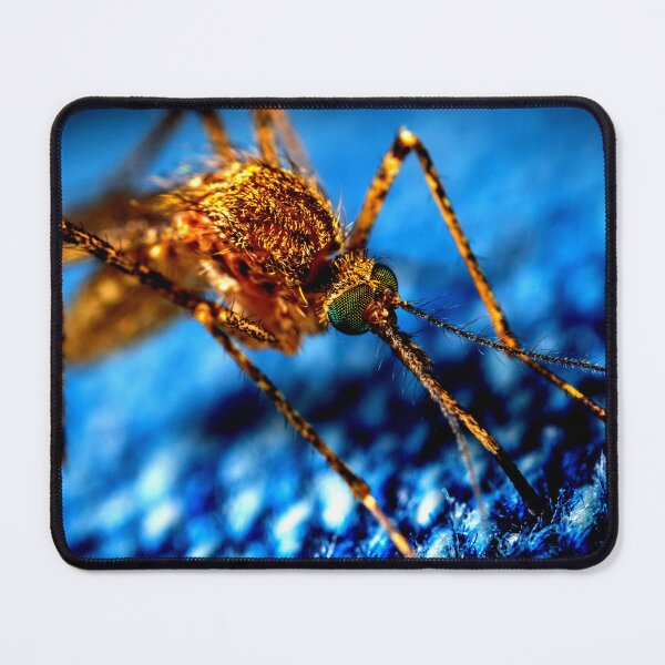 Item preview, Mosquito photo with high resolution quality designed and sold by Allyouneed-2.