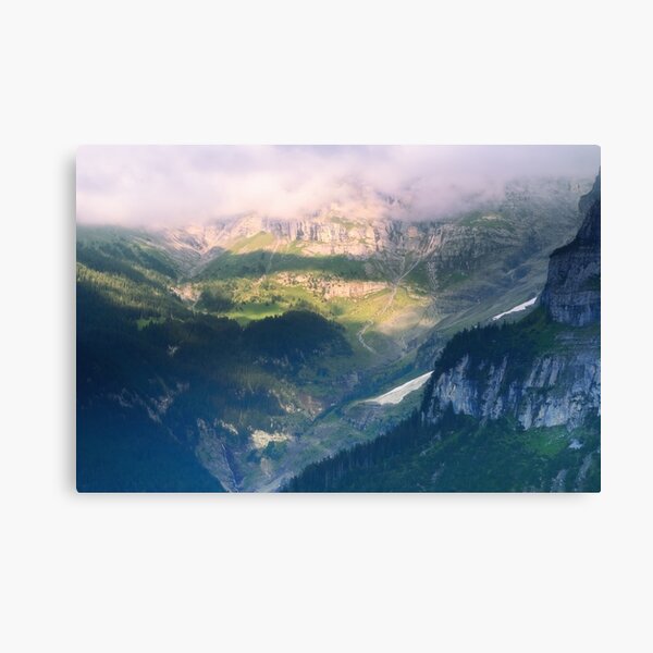 Canvas Print