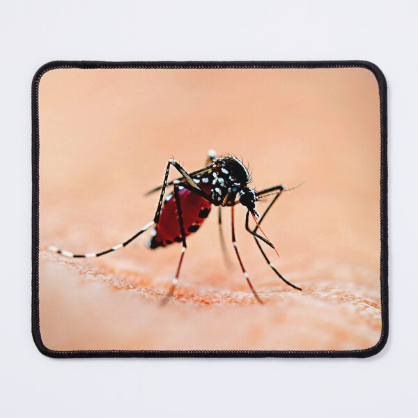 Item preview, Mosquito photo with high resolution quality designed and sold by Allyouneed-2.