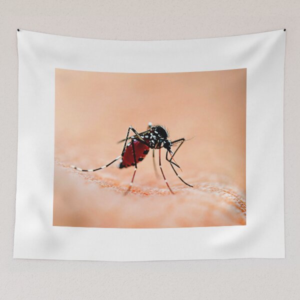 Item preview, Mosquito photo with high resolution quality designed and sold by Allyouneed-2.
